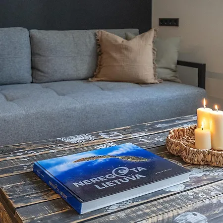 Heart One-bedroom, 15 * 维尔纽斯